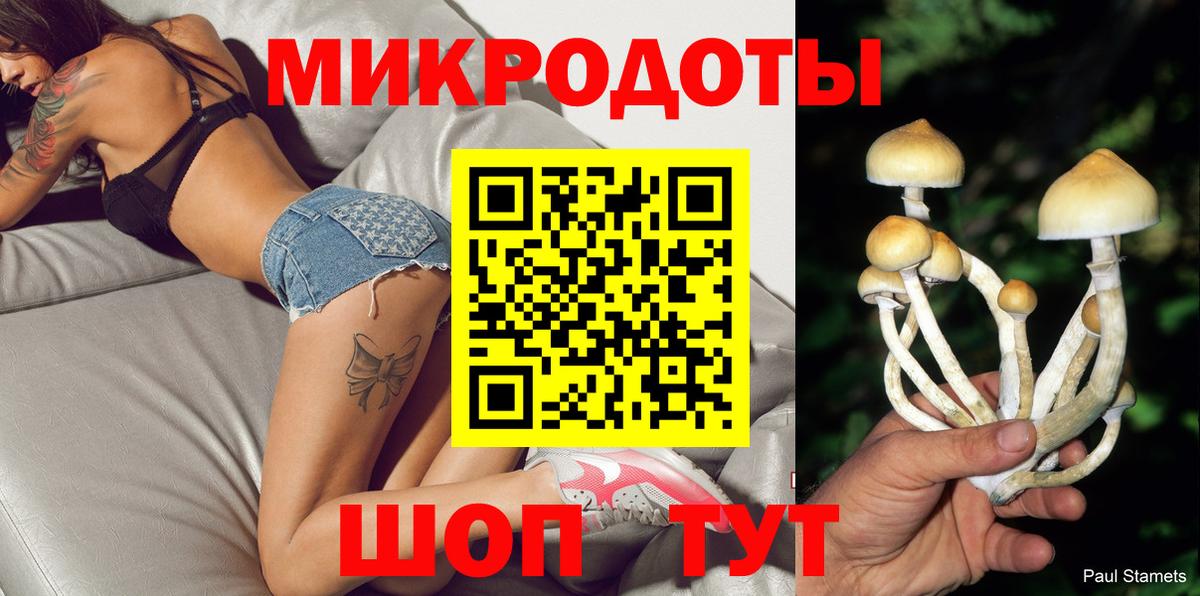Псилоцибиновые грибы мицелий Людиново
