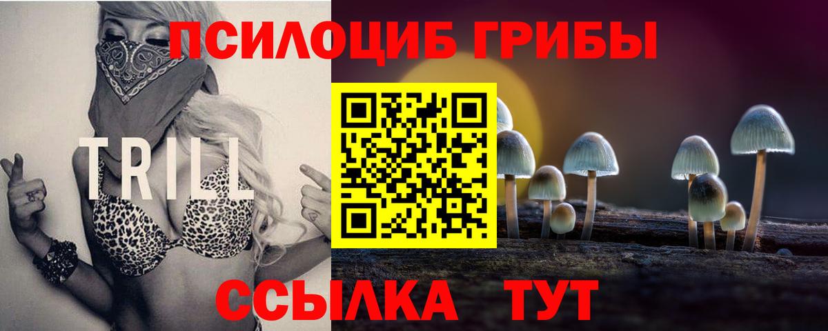 Галлюциногенные грибы MAGIC MUSHROOMS  Псилоцибиновые грибы Cubensis  Людиново  Вход с VPN 